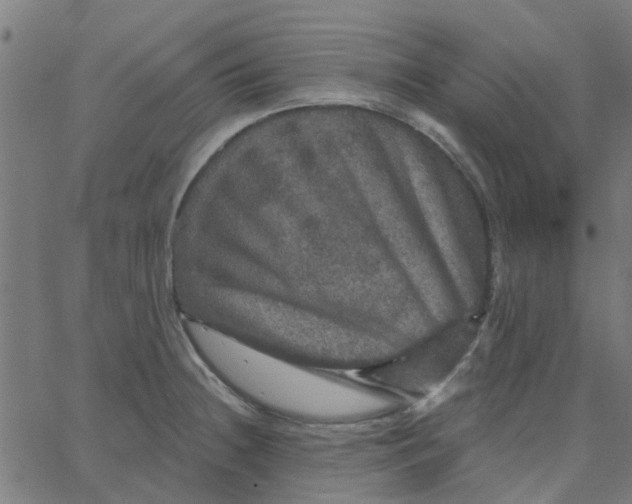 X0000067881236200604271753