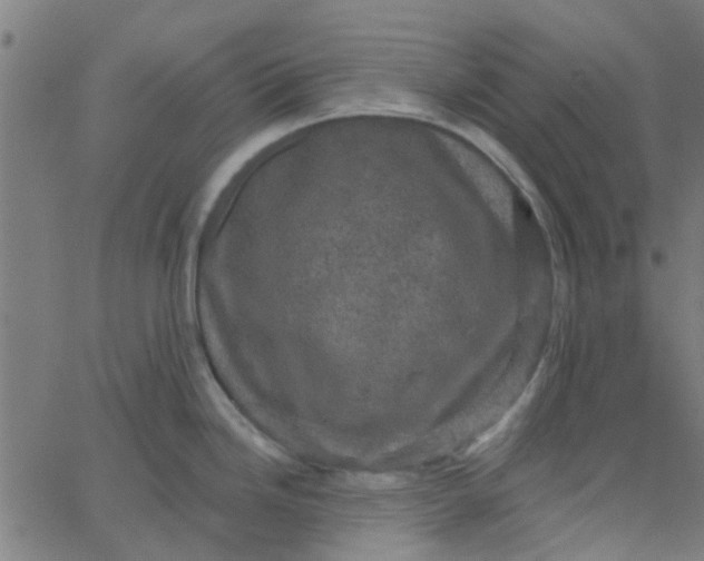 X0000067881246200604271753