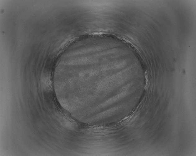 X0000067881252200604271752