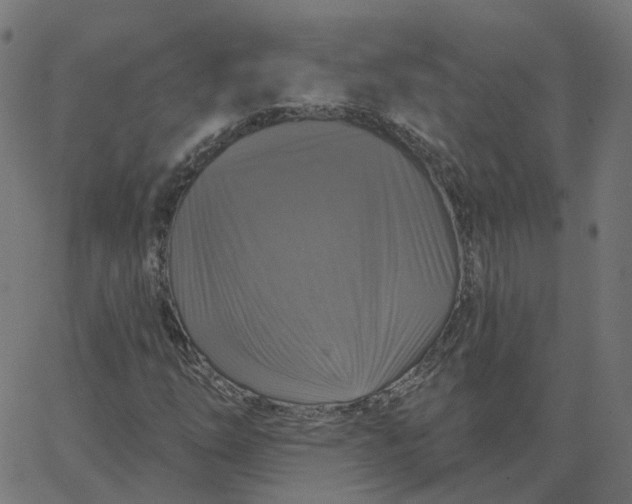 X0000067881254200604271752