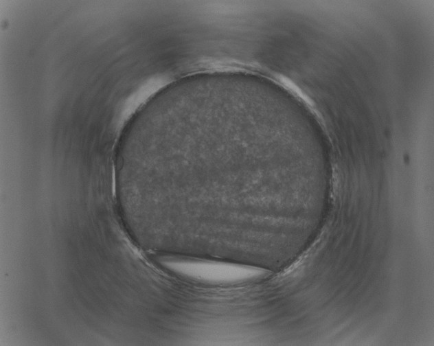 X0000067881269200604271752