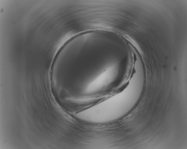 X0000067881291200604271751