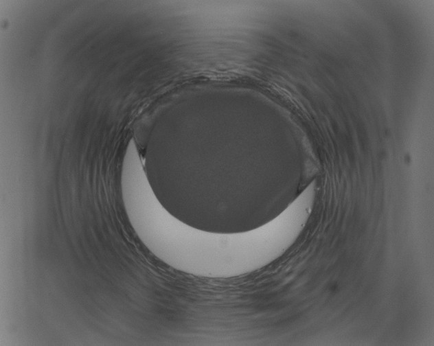 X0000067881298200604271751