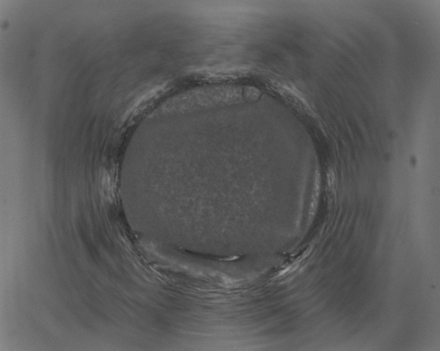 X0000067881300200604271751