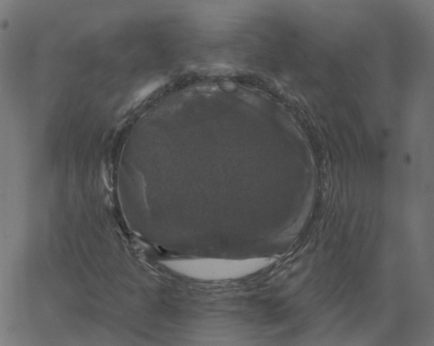 X0000067881301200604271751