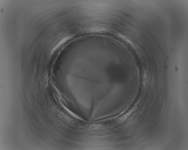 X0000067881306200604271751