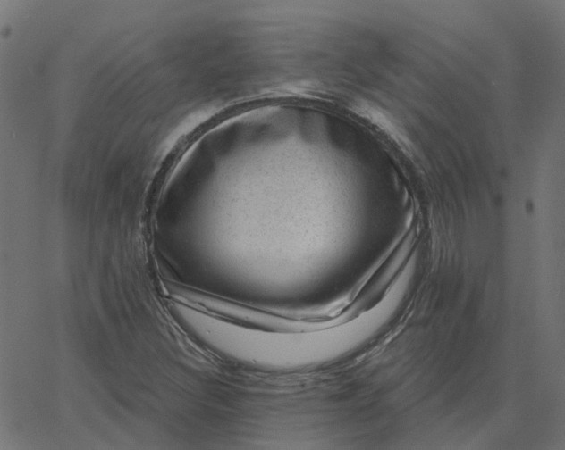 X0000067881308200604271751