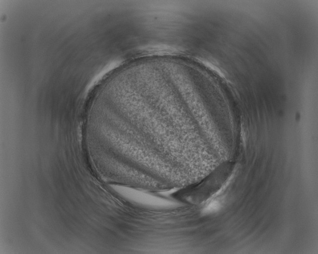 X0000067881309200604271751
