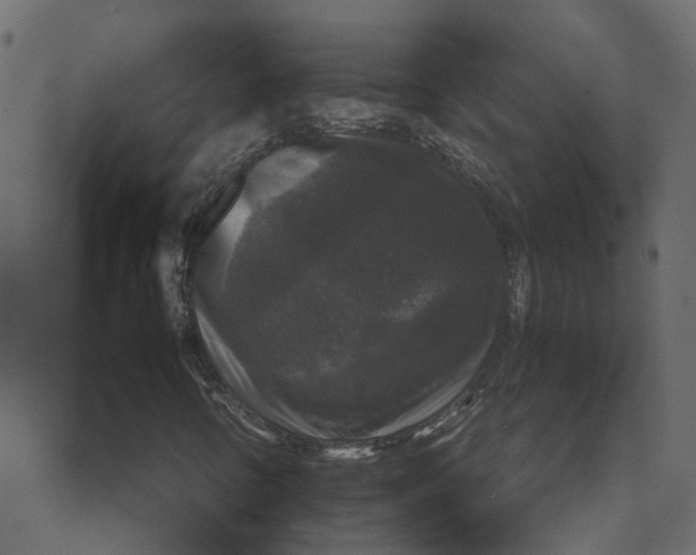 X0000067881346200604271751