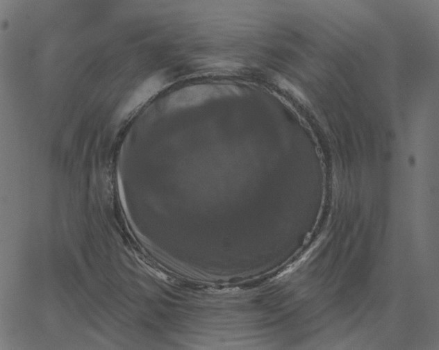 X0000067881354200604271750