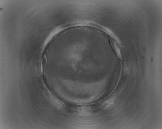 X0000067881368200604271750
