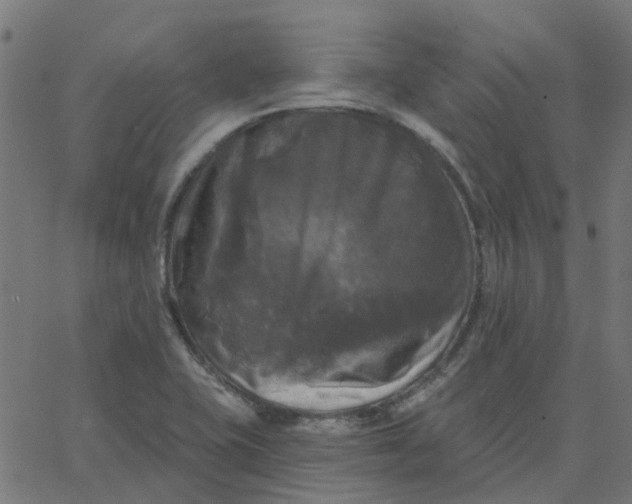 X0000067881415200604271749