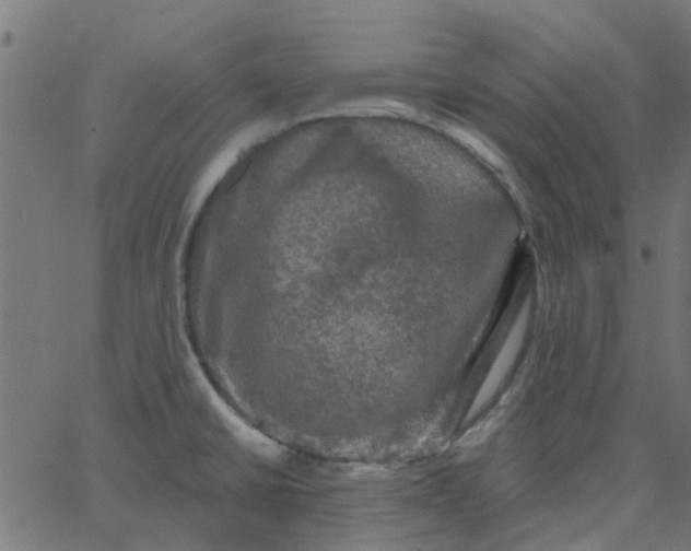 X0000067881430200604271750