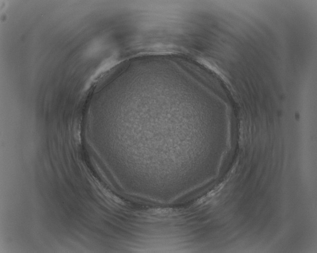 X0000067881451200604271749