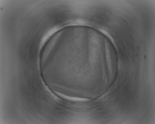 X0000067881464200604271749