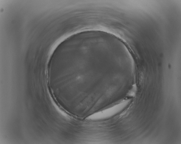 X0000067881519200604271748