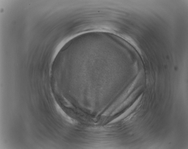X0000067881532200604271748