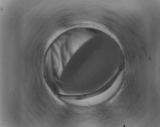 X0000067881533200604271748