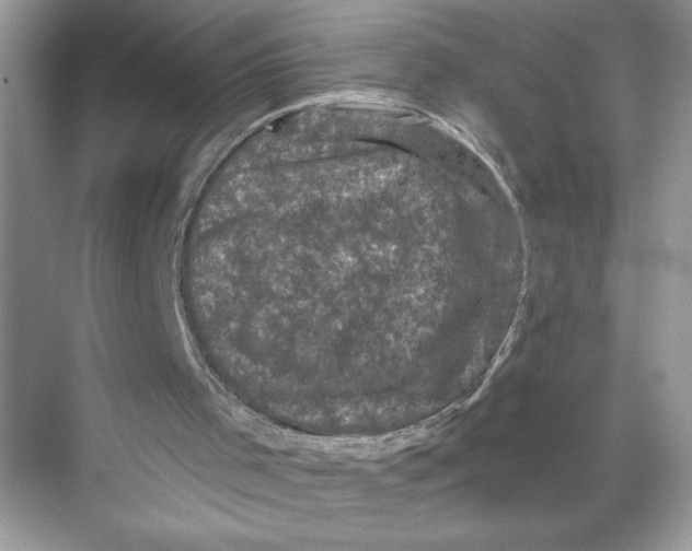 X0000067880001200605041846