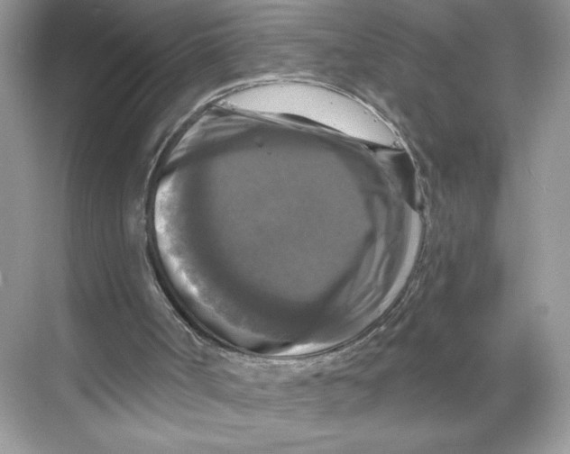 X0000067880002200605041846
