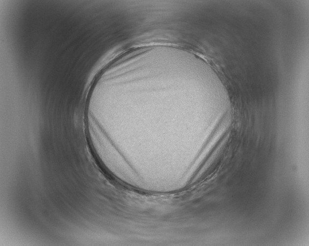 X0000067880004200605041846