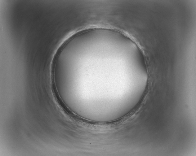 X0000067880008200605041846