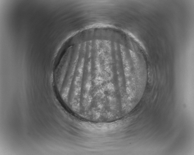 X0000067880015200605041846