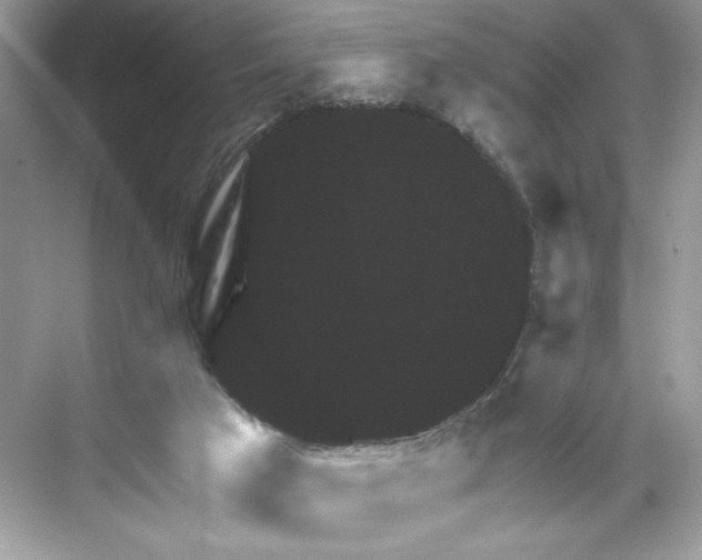 X0000067880017200605041845