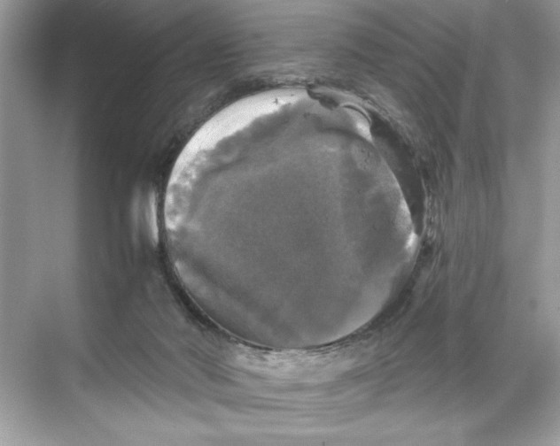 X0000067880022200605041845