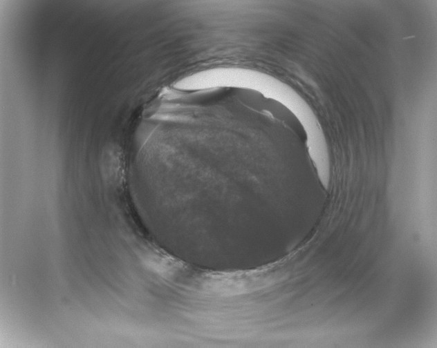 X0000067880029200605041845