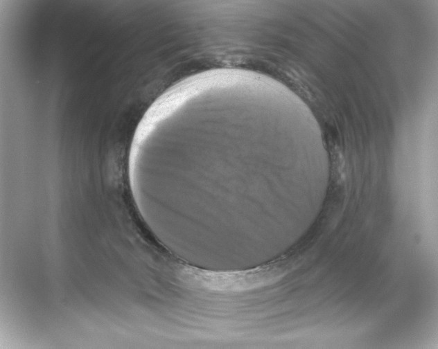 X0000067880030200605041845