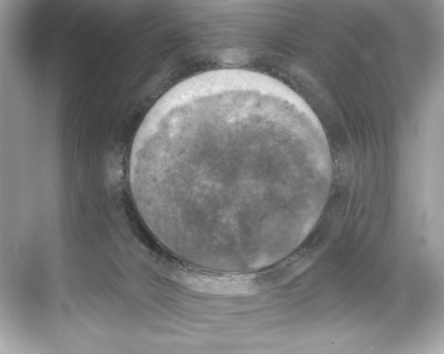 X0000067880032200605041845