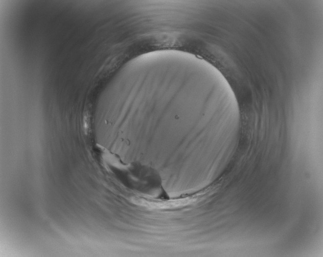 X0000067880035200605041845