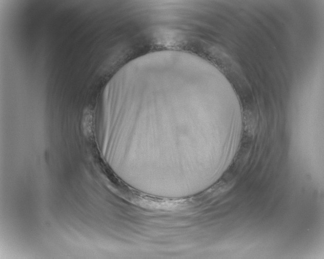 X0000067880036200605041845