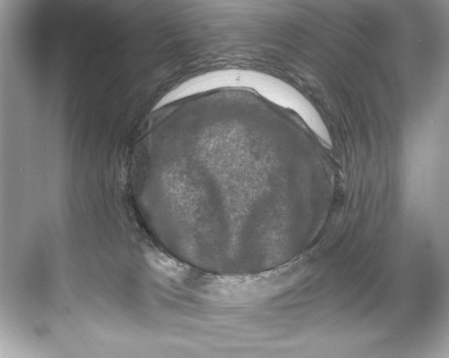 X0000067880037200605041845