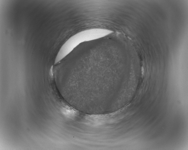 X0000067880041200605041845