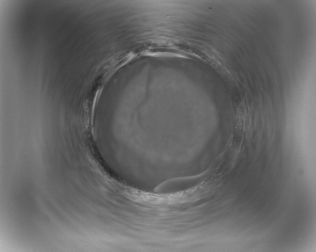 X0000067880043200605041845
