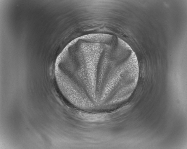 X0000067880044200605041845