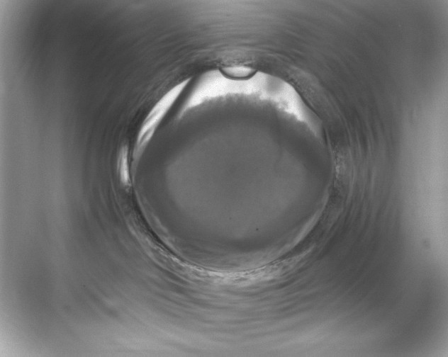 X0000067880046200605041845