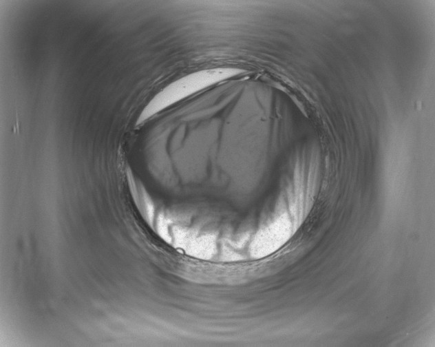 X0000067880048200605041845