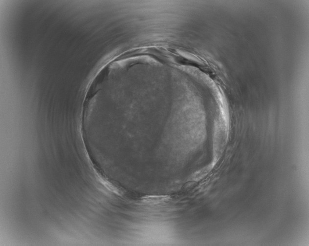 X0000067880051200605041844