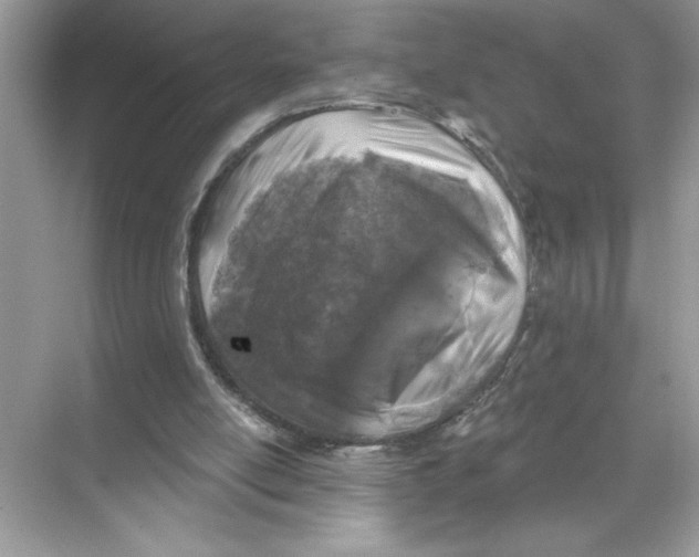 X0000067880054200605041844