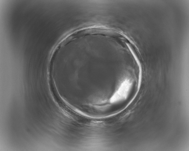 X0000067880055200605041844