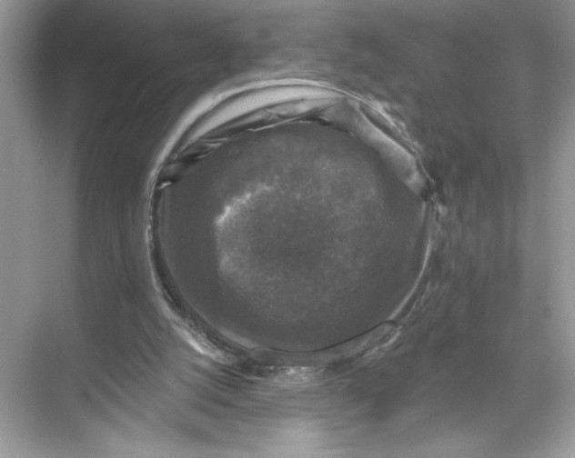 X0000067880056200605041844