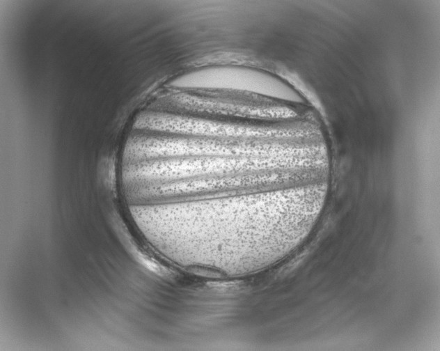 X0000067880057200605041844