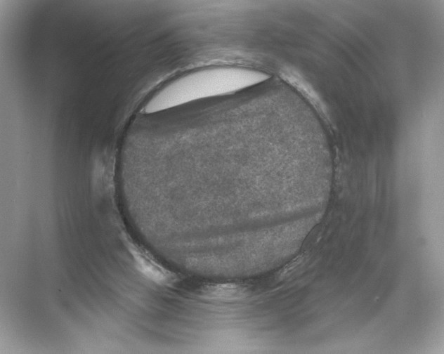X0000067880058200605041844