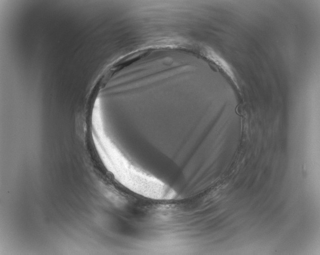 X0000067880059200605041844