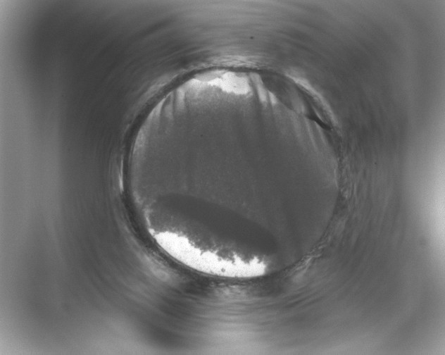 X0000067880062200605041844
