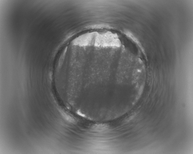 X0000067880063200605041844