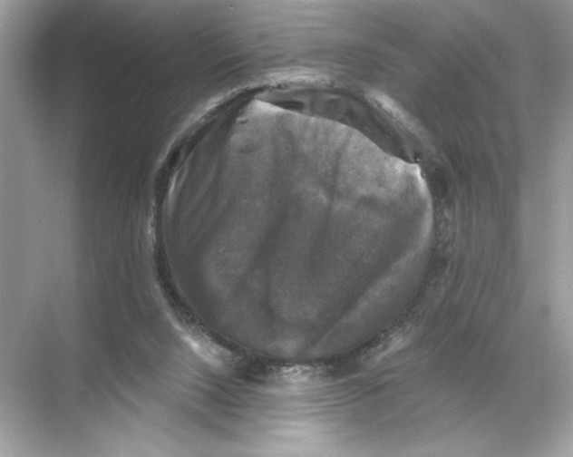 X0000067880064200605041844